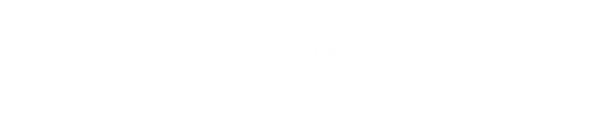 Sky Hawk Drone